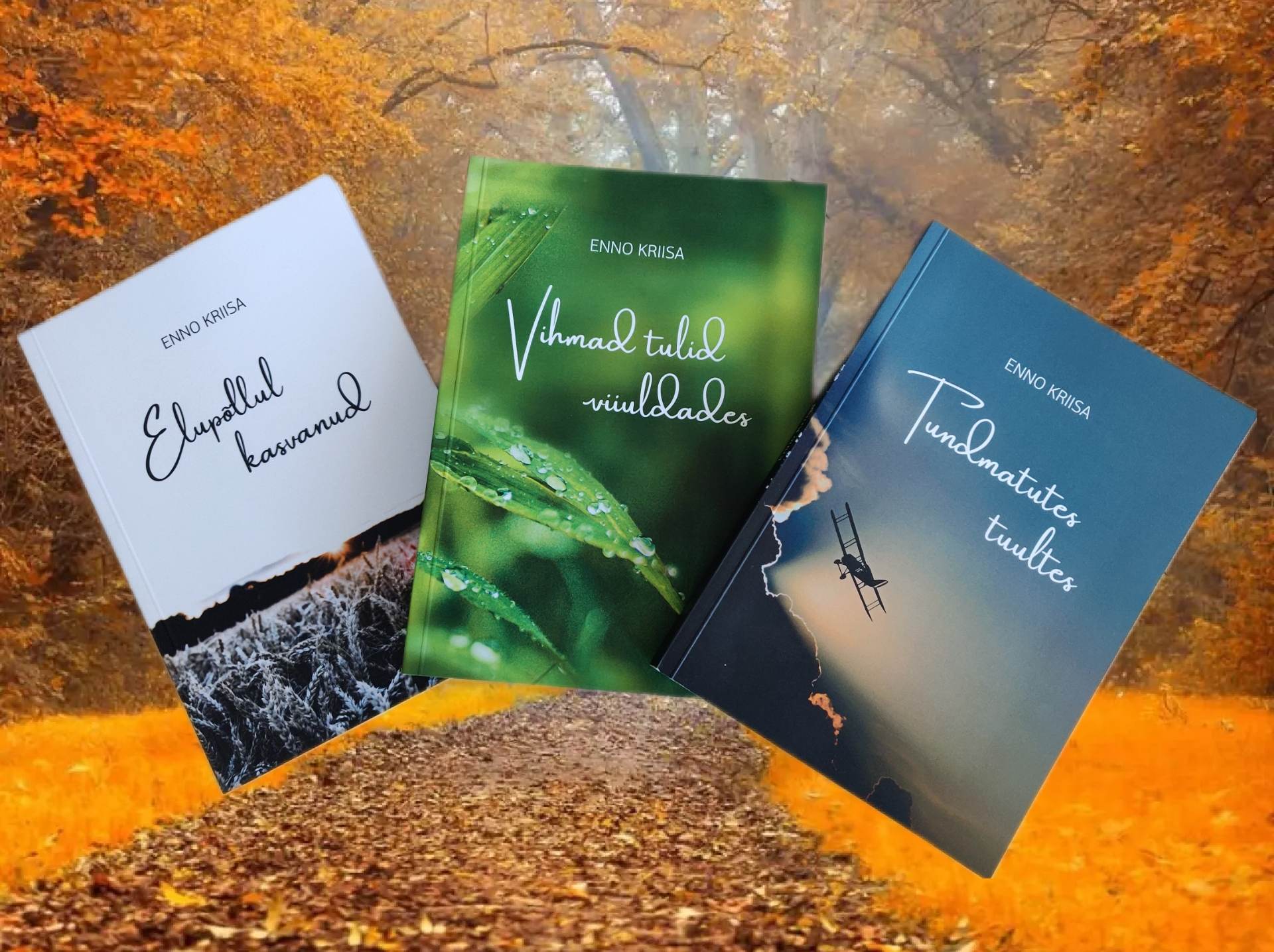 Raamatute kujundamine ja trükk